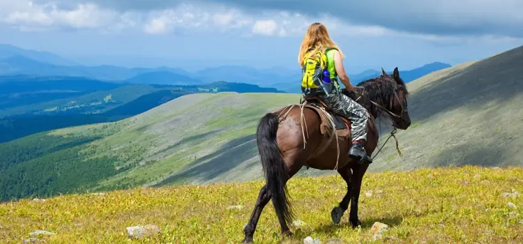 A rider on horseback crossing open hills